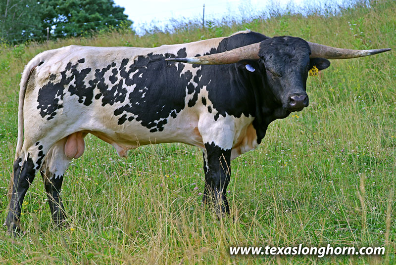 McBlank - Photo Number: 26J_3602.jpg