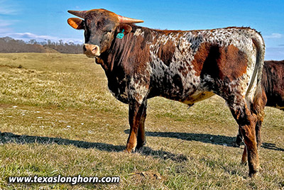 Jag - Photo Number: CP_6373_Jam_Dunk_23-20240227.jpg
