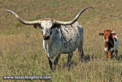 CP_8379_Dray_Sky-20240913.jpg