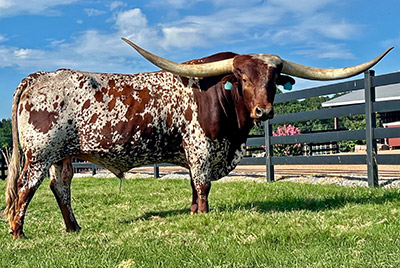 Span Pro - Photo Number: CP_9875_Span_Pro-20241003.jpg