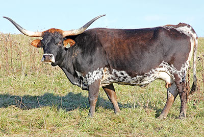 Grub Stake - Photo Number: Y_8915.jpg