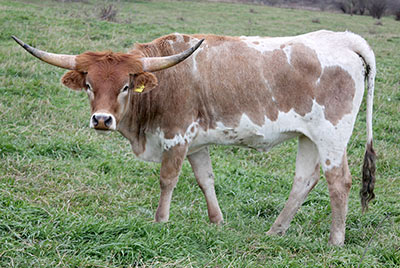 Max 9 - Photo Number: b_8775.jpg