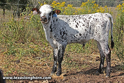 Galore Zoyt - Photo Number: f_9069.jpg
