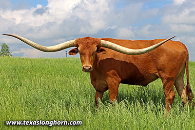 Noah - Photo Number: g_3861.jpg