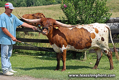 Cut'N Flair - Photo Number: h_4912.jpg