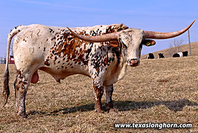Venom - Photo Number: j_0625.jpg