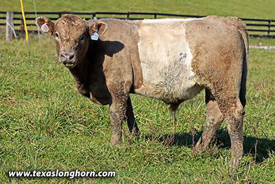 Smoke'n Game Calf 2022 - Photo Number: j_9757.jpg