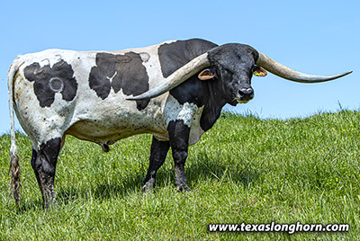Stand Strong - Photo Number: k_2398.jpg