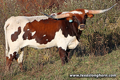 Marked Yell - Photo Number: k_7531.jpg