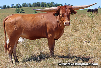 Marked Mag - Photo Number: m_2783.jpg
