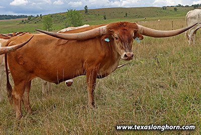 Cut'N Point 237/0 - Photo Number: m_4057.jpg