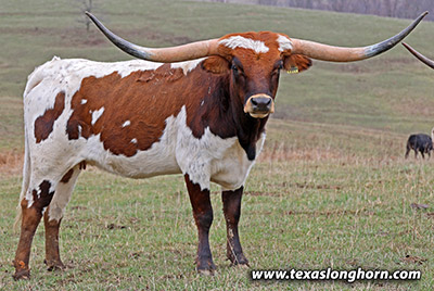 Marked Yell - Photo Number: mj_3339.jpg