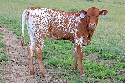 Field Me - Photo Number: z_4416.jpg