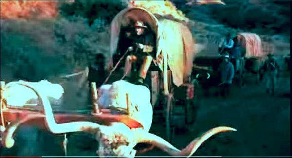 Notice Justice in the fore wagon and the tiny horned oxen in the back wagons. 