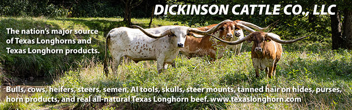 Dickinson Cattle Co, LLC