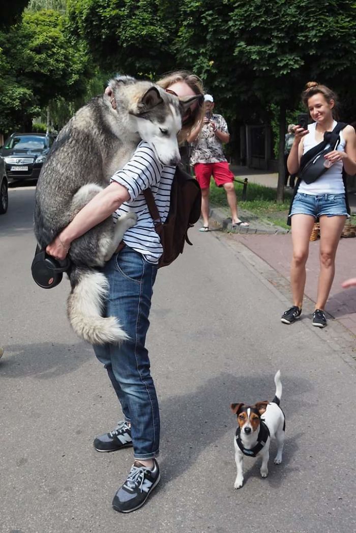 Woman holding dog