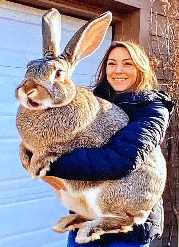 woman holding giant rabbit