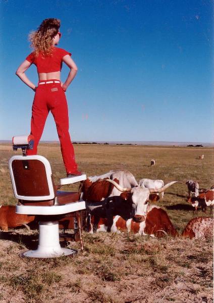 girl in red pants on barber chair looking at texas longhorn cattle