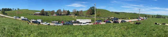 Cattle buyers brought shiny trailers to take home fancy calves.