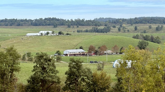 Two of the Dickinson Cattle Co facilities. The upper working corals and lower store and offices. 