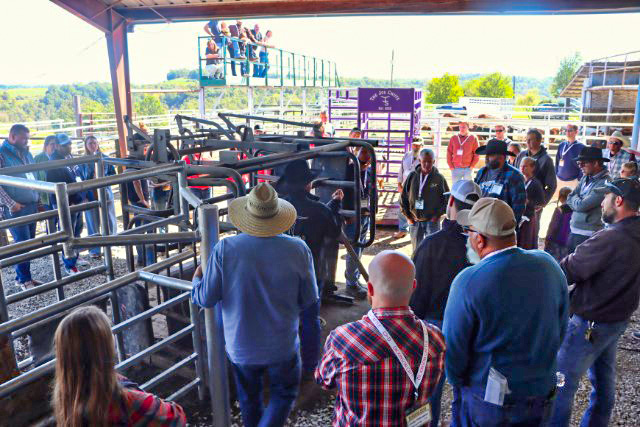 Lessons on the fine points of perfect hot iron branding by Doug Burris are always popular. 