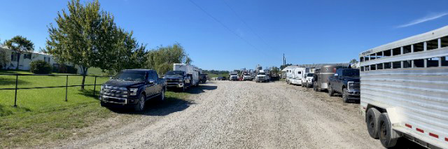 After the demonstrations 23 trailers were lined up to load precious Texas Longhorn cargo going to all points for new homes.