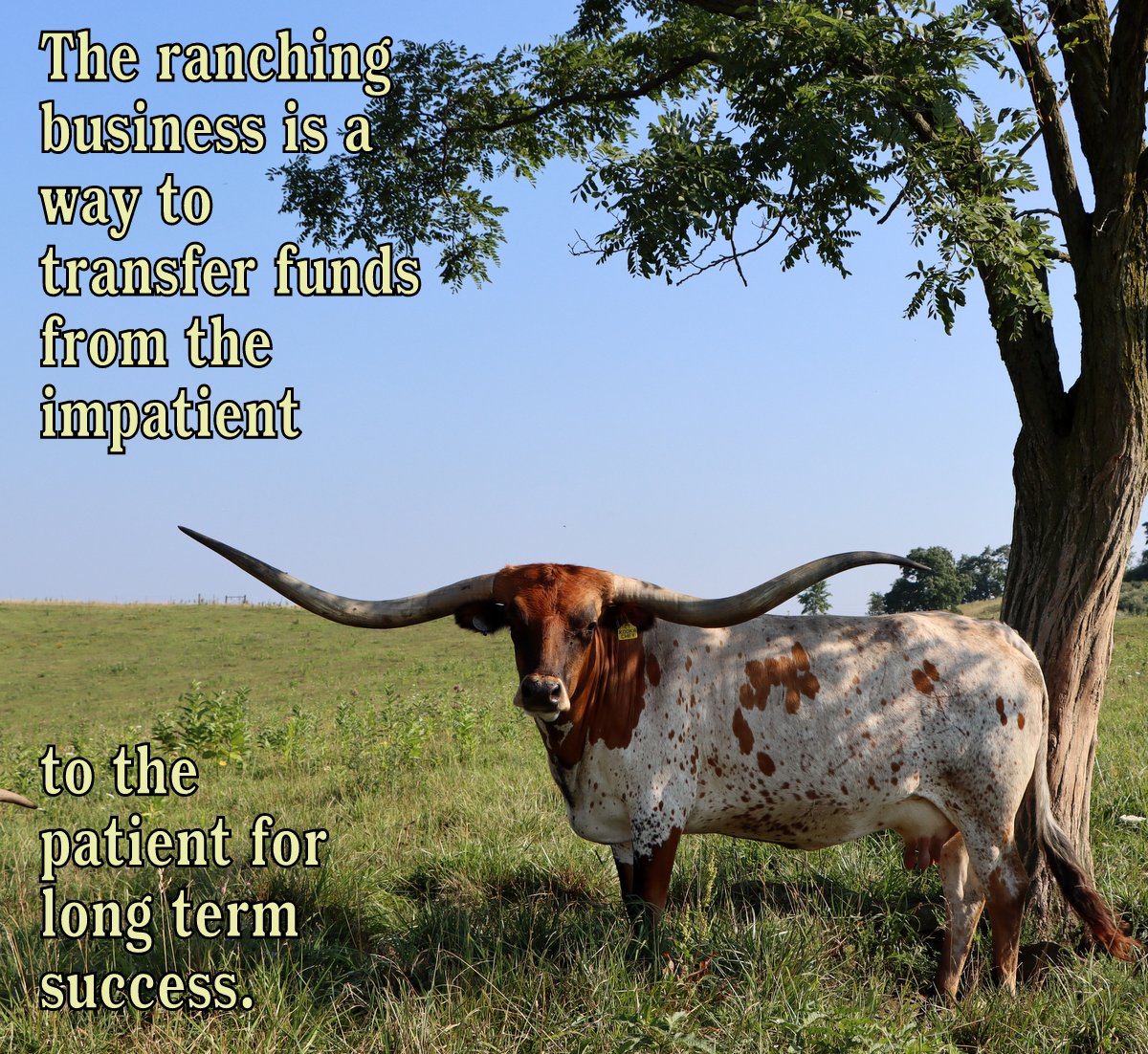 the ranching business is a way to transfer funds from the impatient to the patient for long term success.
