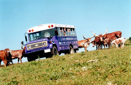 Doing a ranch tour