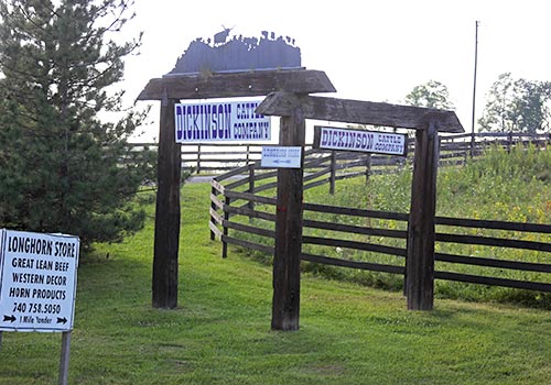 Dickinson Cattle Co Sign