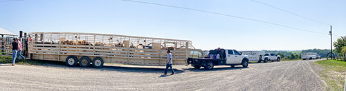 Texas Bull hauler loading up for a Texas trip