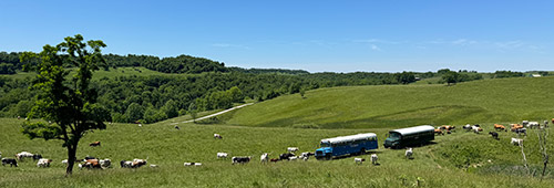 Two LHT Tour buses in the Texas Longhorn Pasture