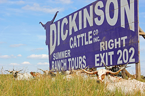 Dickinson Cattle Co. - billboard sign near mile marker 200 on I-70 near Hendrysburg Ohio