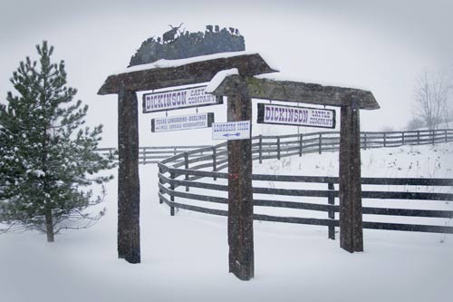 Our Ranch Sign on Muskrat Road in January during Snow Storm