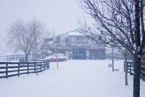 Headquarters of DCCI and office in January during Snow Storm