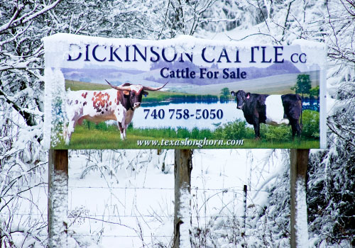 Dickinson Cattle Co. Sign