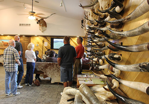 Interior of our Store