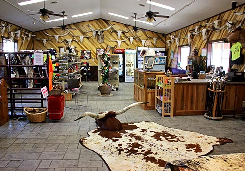 Longhorn Hide Rug Mount