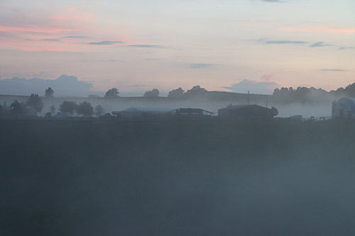 Foggy Morning at Dickinson Cattle Co near Barnesville, Ohio.