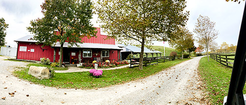 Longhorns Head To Tail Store and driveway. Barnesville Ohio.