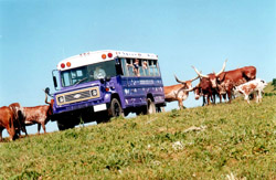 Doing a ranch tour