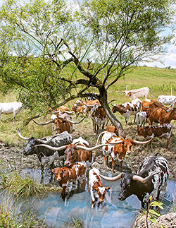 Cover of the 2020 Texas Longhorn Celebrity Calendar showing a herd of Texas Longhorns cooling in the stream duing a hot August day in Barnesville Ohio