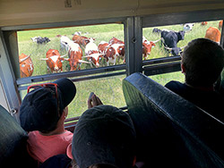 Happy Longhorn Head to Tail Tour visitors ? Near Barnesville Ohio