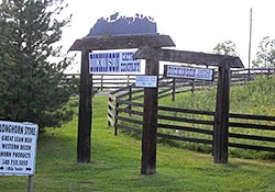 Dickinson Cattle Co Sign
