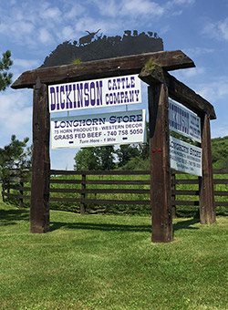 Dickinson Cattle Company sign on corner of Muskrat Road and SR 800