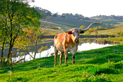 DCCI Lake and Law Man