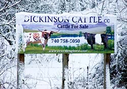 Dickinson Cattle Co. Sign
