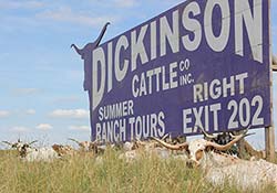 Dickinson Cattle Co. Sign