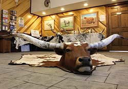 Longhorn Hide Rug Mount