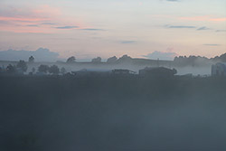Foggy Morning at Dickinson Cattle Co near Barnesville, Ohio.