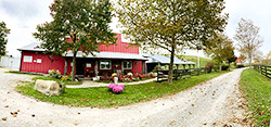 Longhorns Head To Tail Store and driveway. Barnesville Ohio.